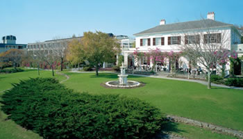 Vineyard Hotel & Spa